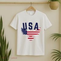 Usa Eagle 4th Of July Gift Casual American T-Shirt thumb 2
