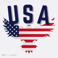 Usa Eagle 4th Of July Gift Casual American Women's T-Shirt thumb 6