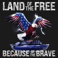USA Eagle American Flag 4th of July USA Independence T-Shirt thumb 7