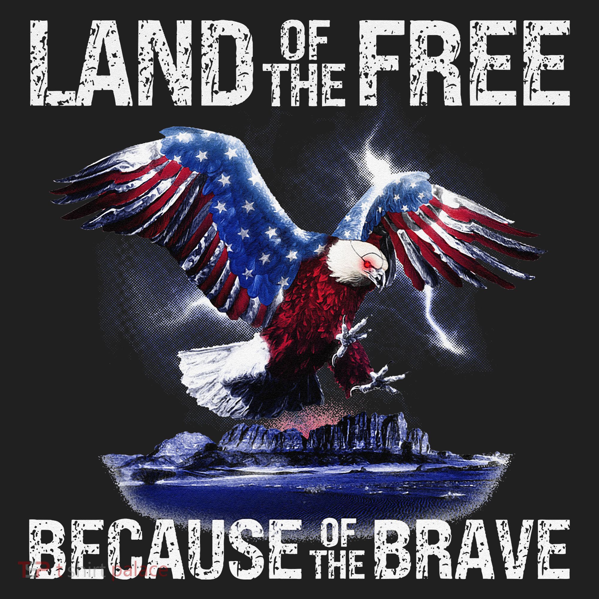 USA Eagle American Flag 4th of July USA Independence Hat
