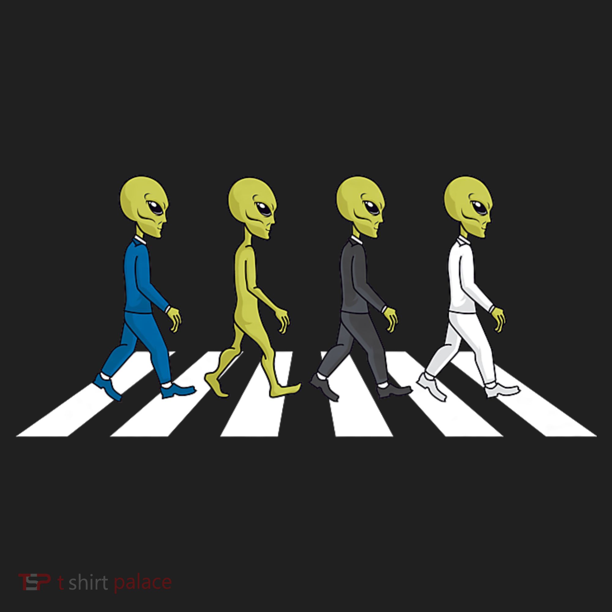 Ufo Extraterrestrial Crossing Alien Hat