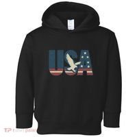 USA Eagle Emblem Toddler Hoodie thumb 0