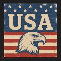 USA Eagle Graphic Women's Sweatshirt thumb 2