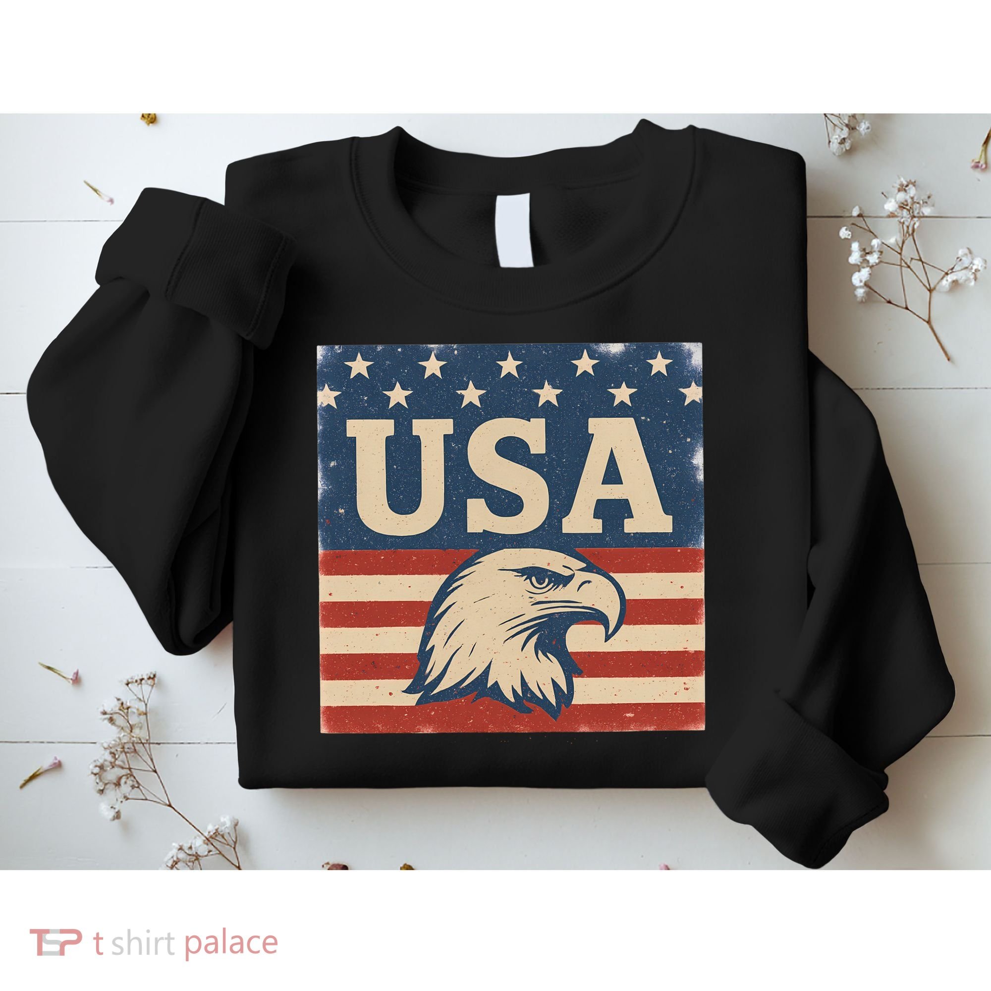 USA Eagle Graphic Sweatshirt