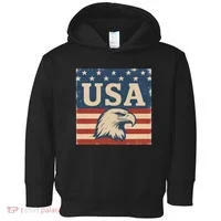 USA Eagle Graphic Toddler Hoodie thumb 0