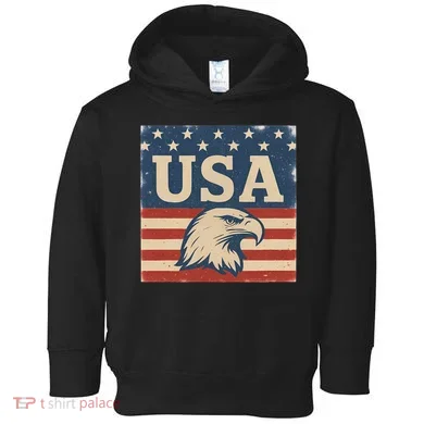 USA Eagle Graphic Toddler Hoodie