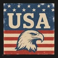 USA Eagle Graphic Toddler Hoodie thumb 2