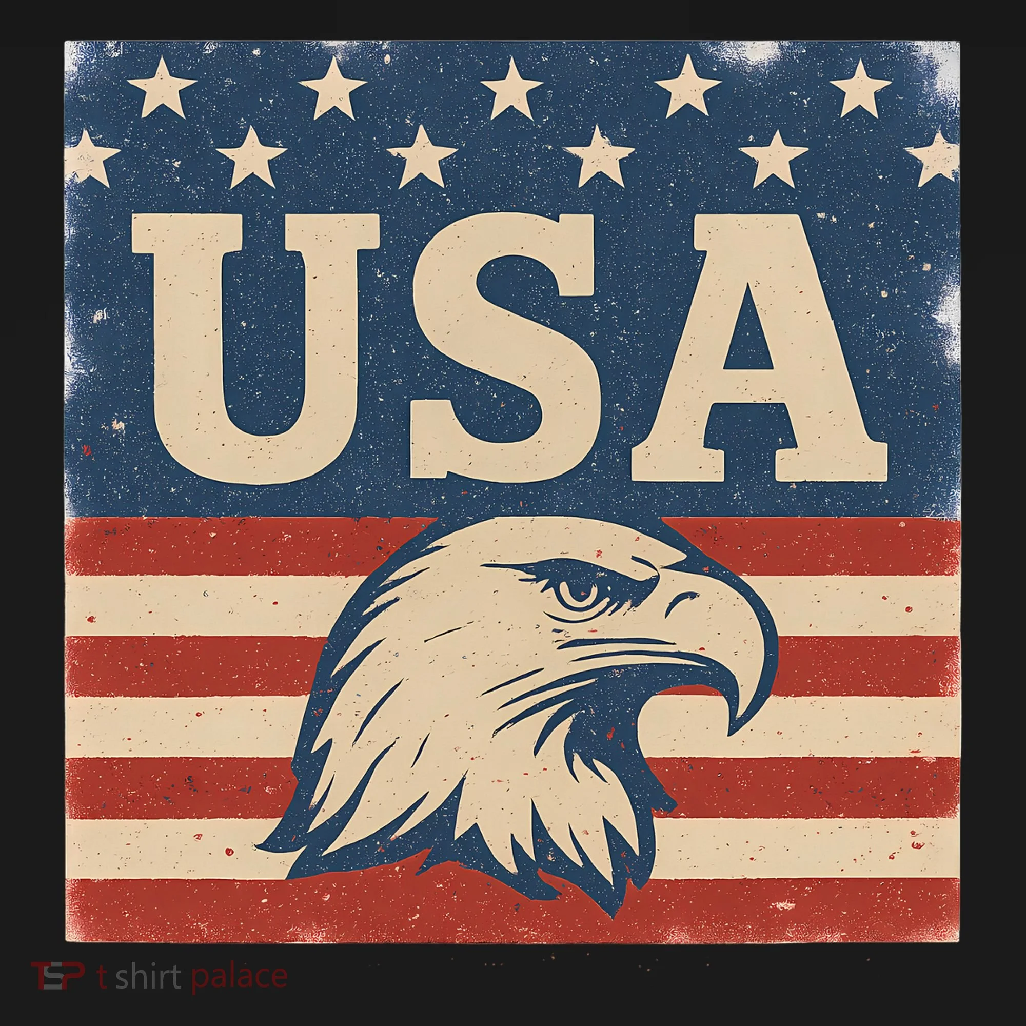 USA Eagle Graphic Toddler Hoodie