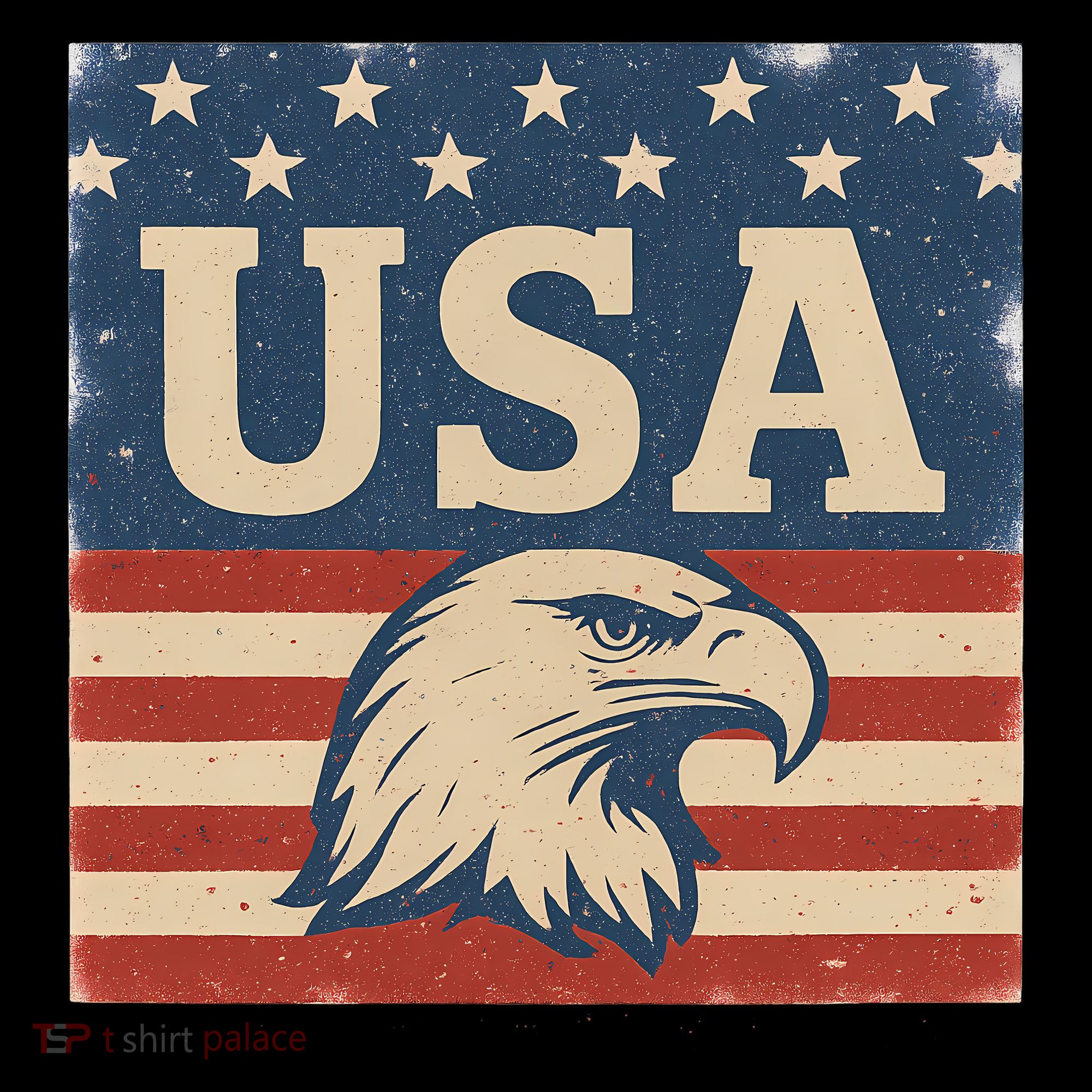 USA Eagle Graphic Women's T-Shirt