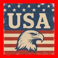 USA Eagle Graphic Santa Hat thumb 1