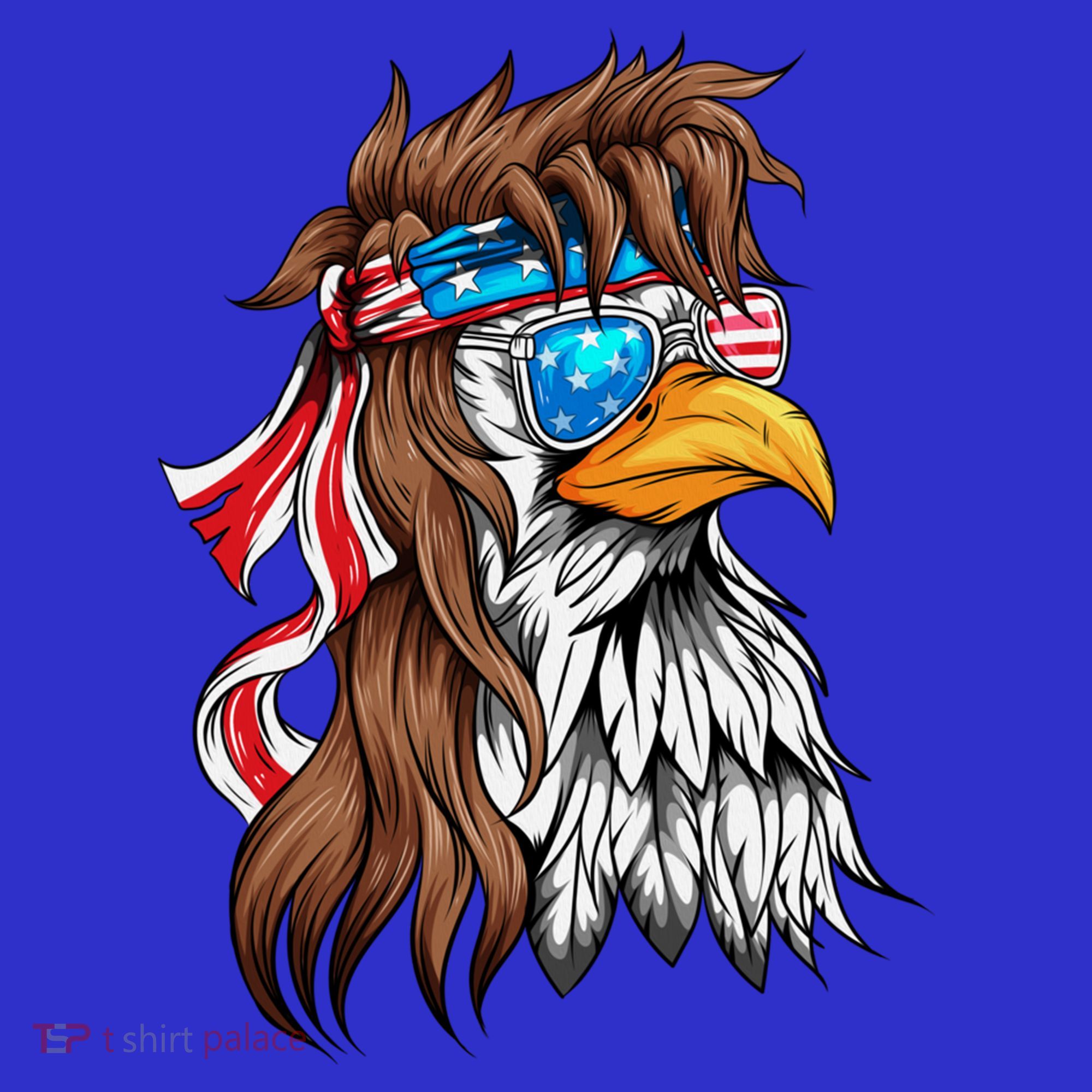 Usa Eagle Us Flag Bandana America National Day Gift Sweatshirt