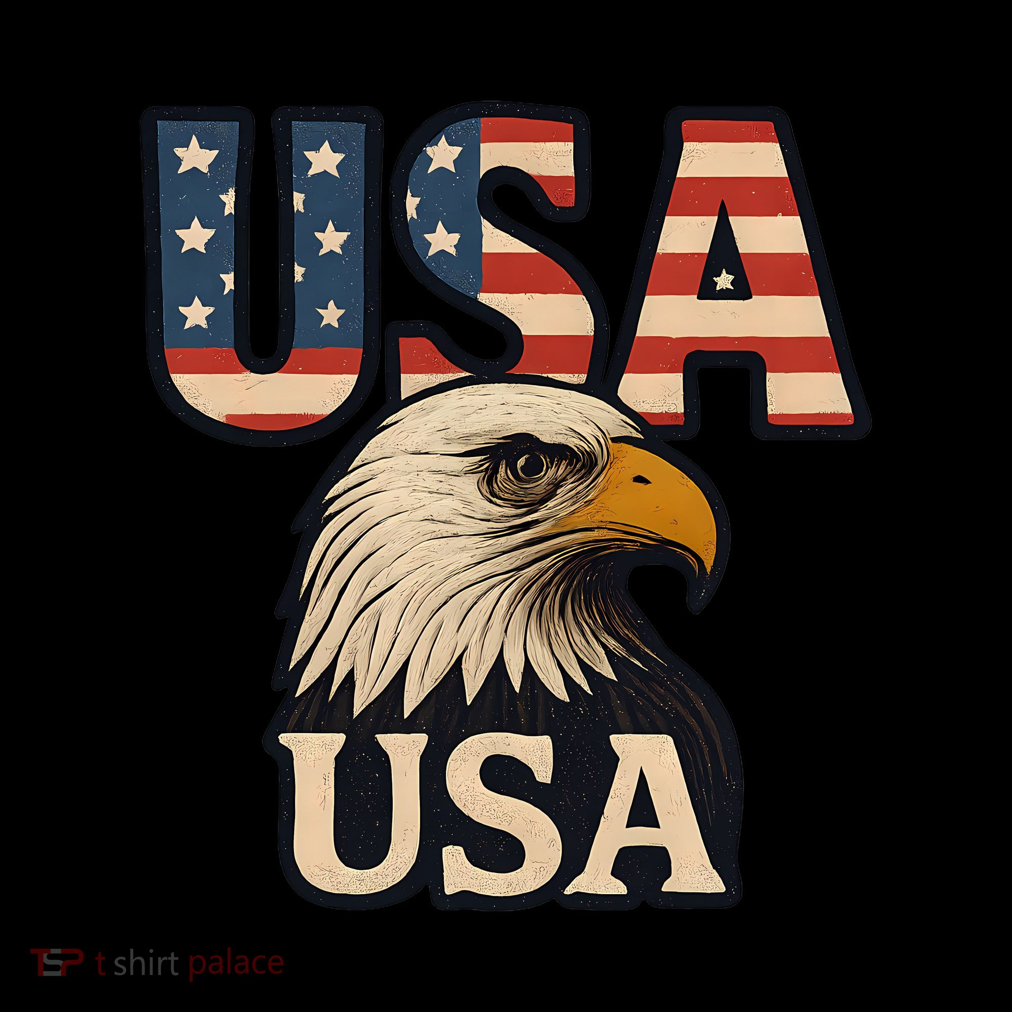 USA Eagle Sweatshirt