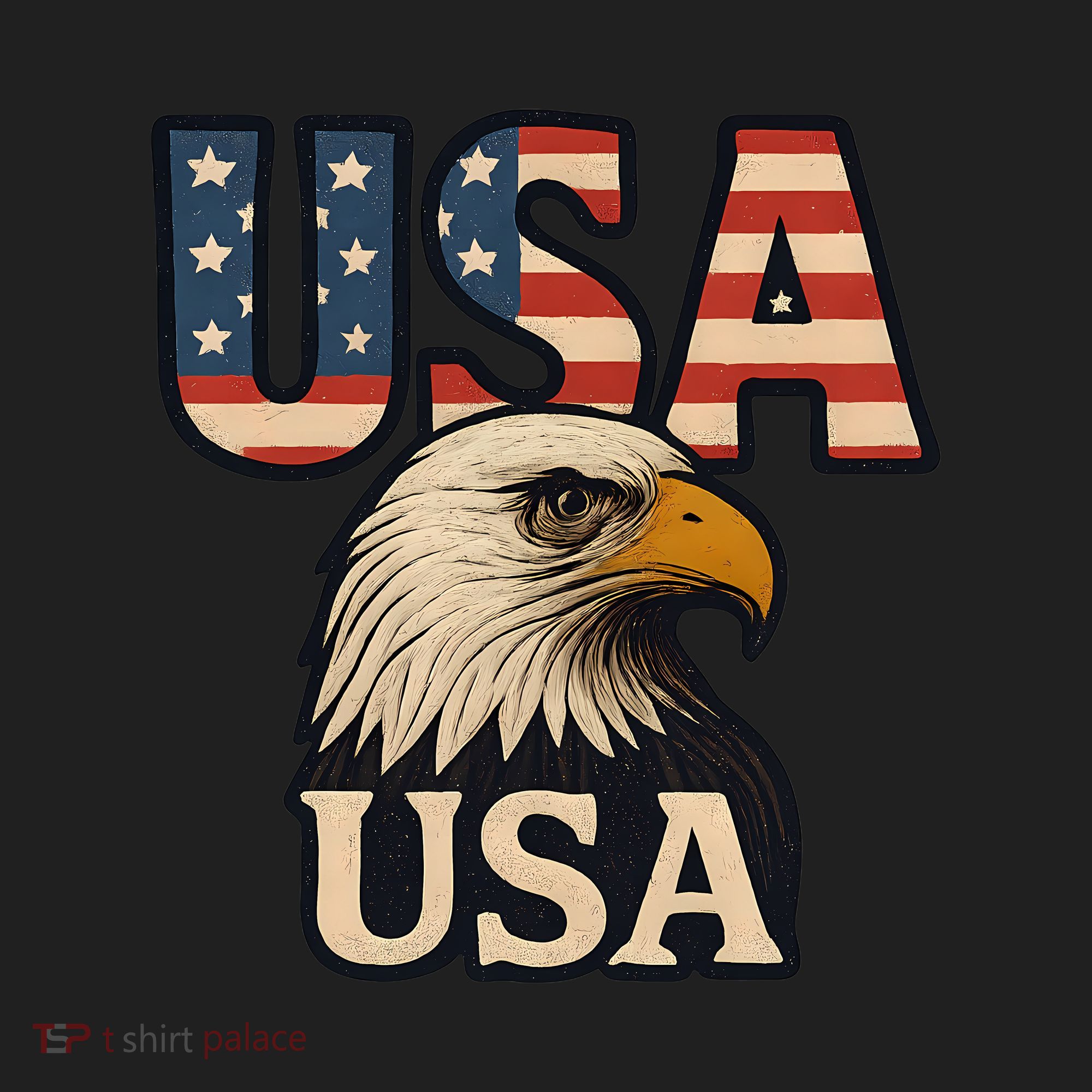 USA Eagle Hat