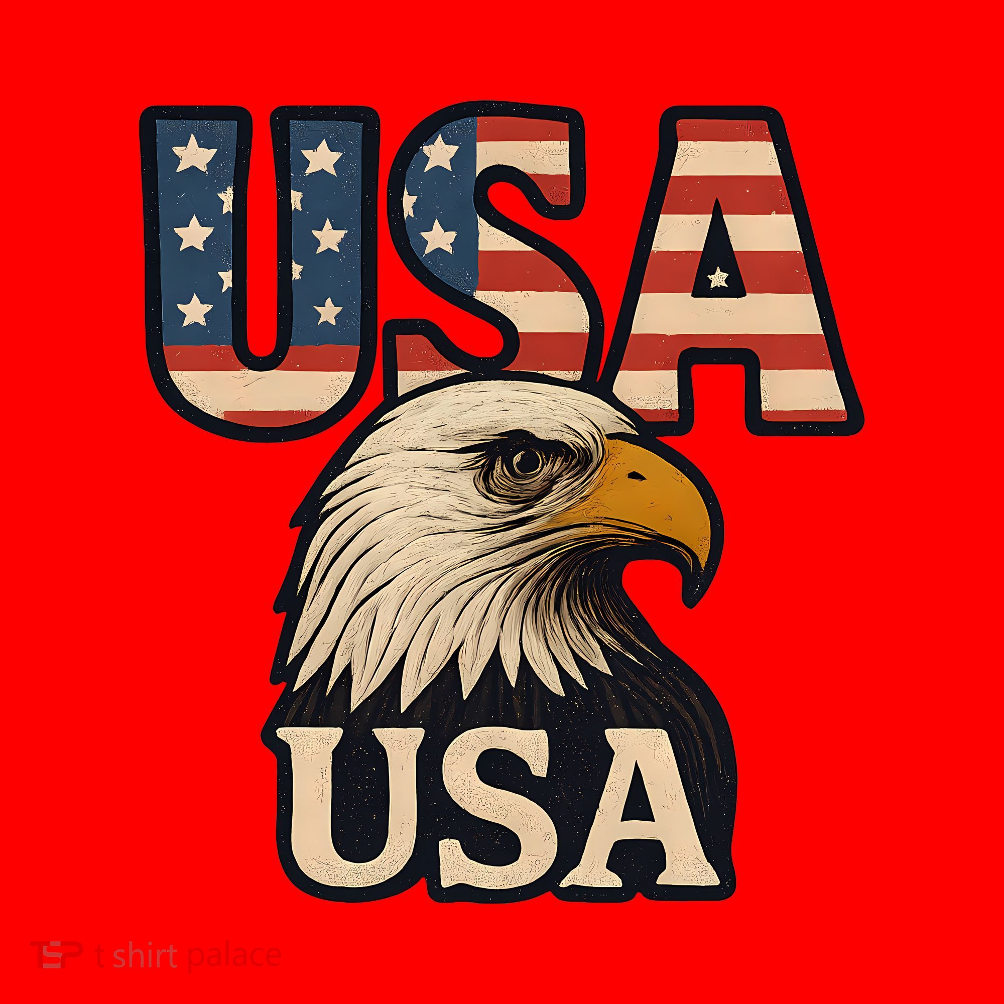 USA Eagle Santa Hat