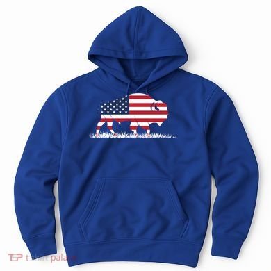Usa Flag American Buffalo Cool Gift Hoodie