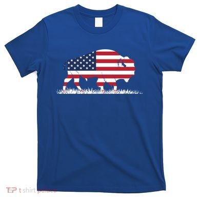 Usa Flag American Buffalo Cool Gift T-Shirt