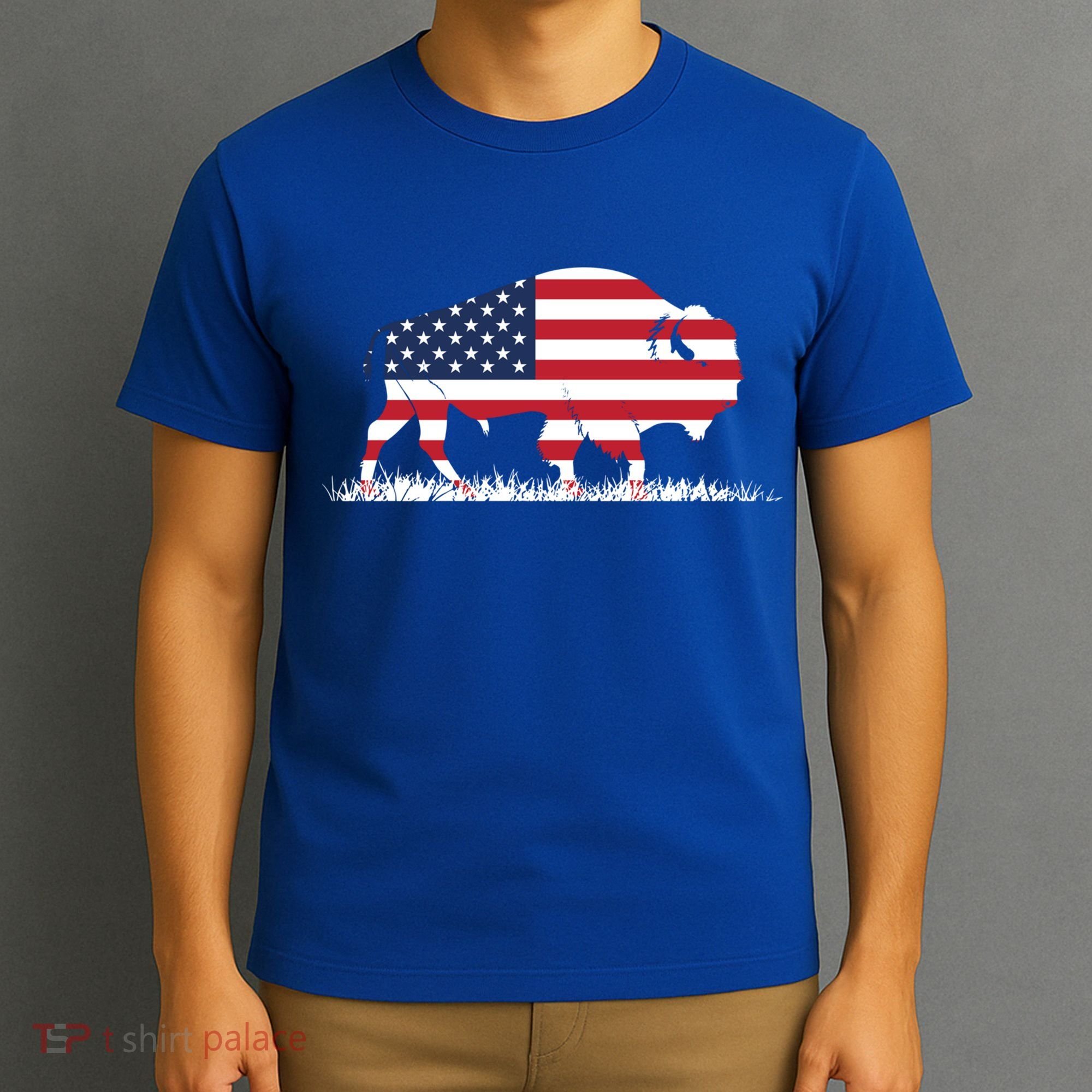Usa Flag American Buffalo Cool Gift T-Shirt