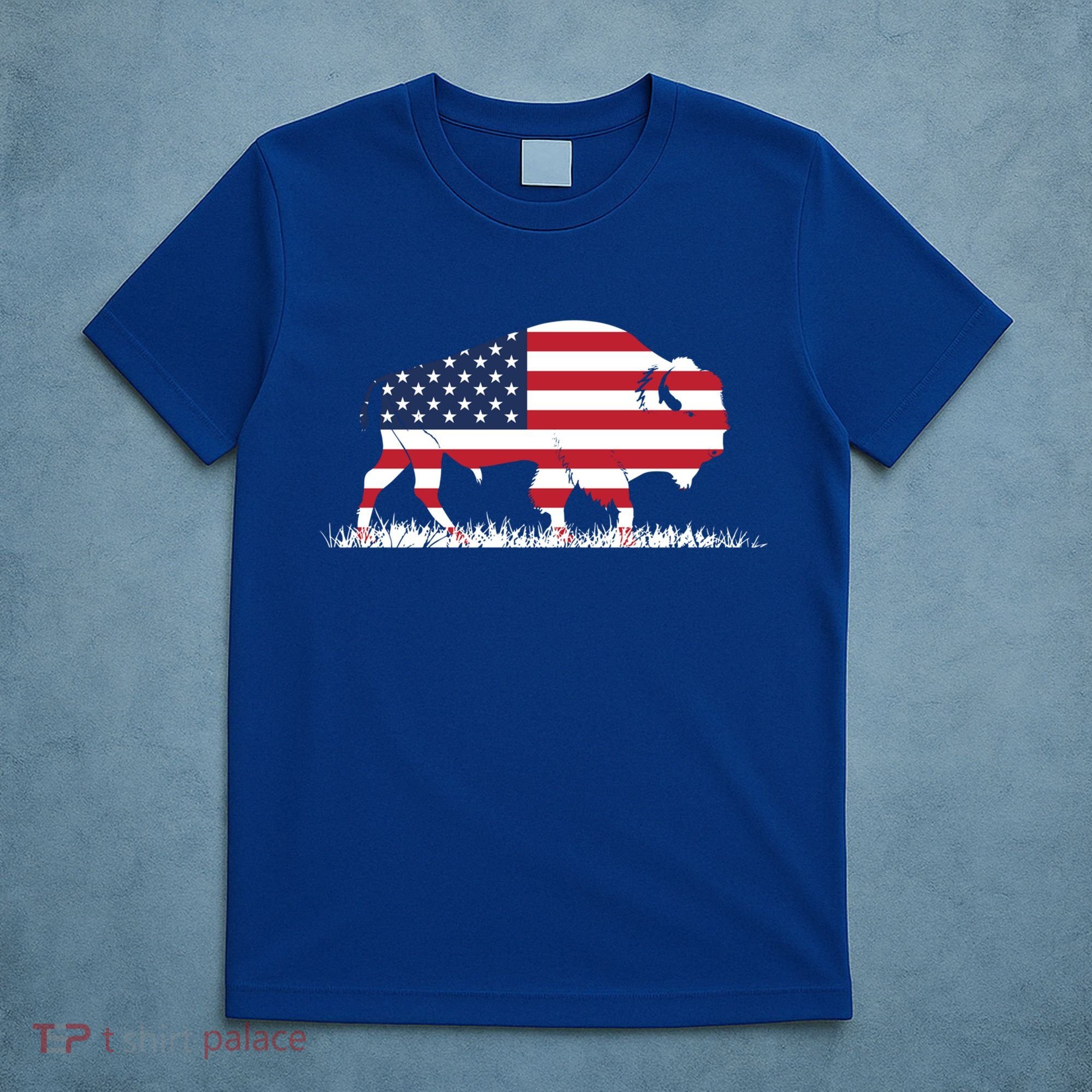 Usa Flag American Buffalo Cool Gift T-Shirt