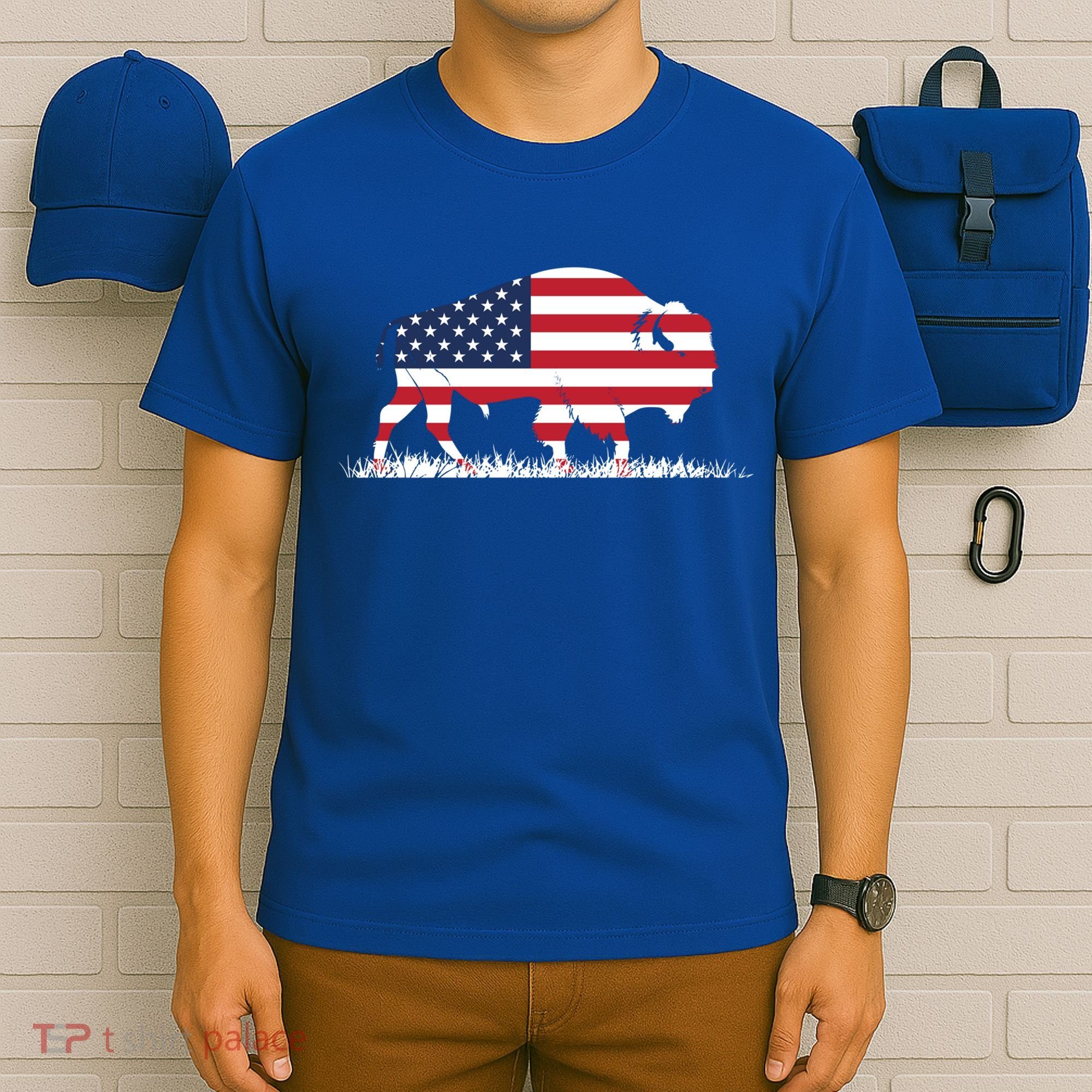 Usa Flag American Buffalo Cool Gift T-Shirt