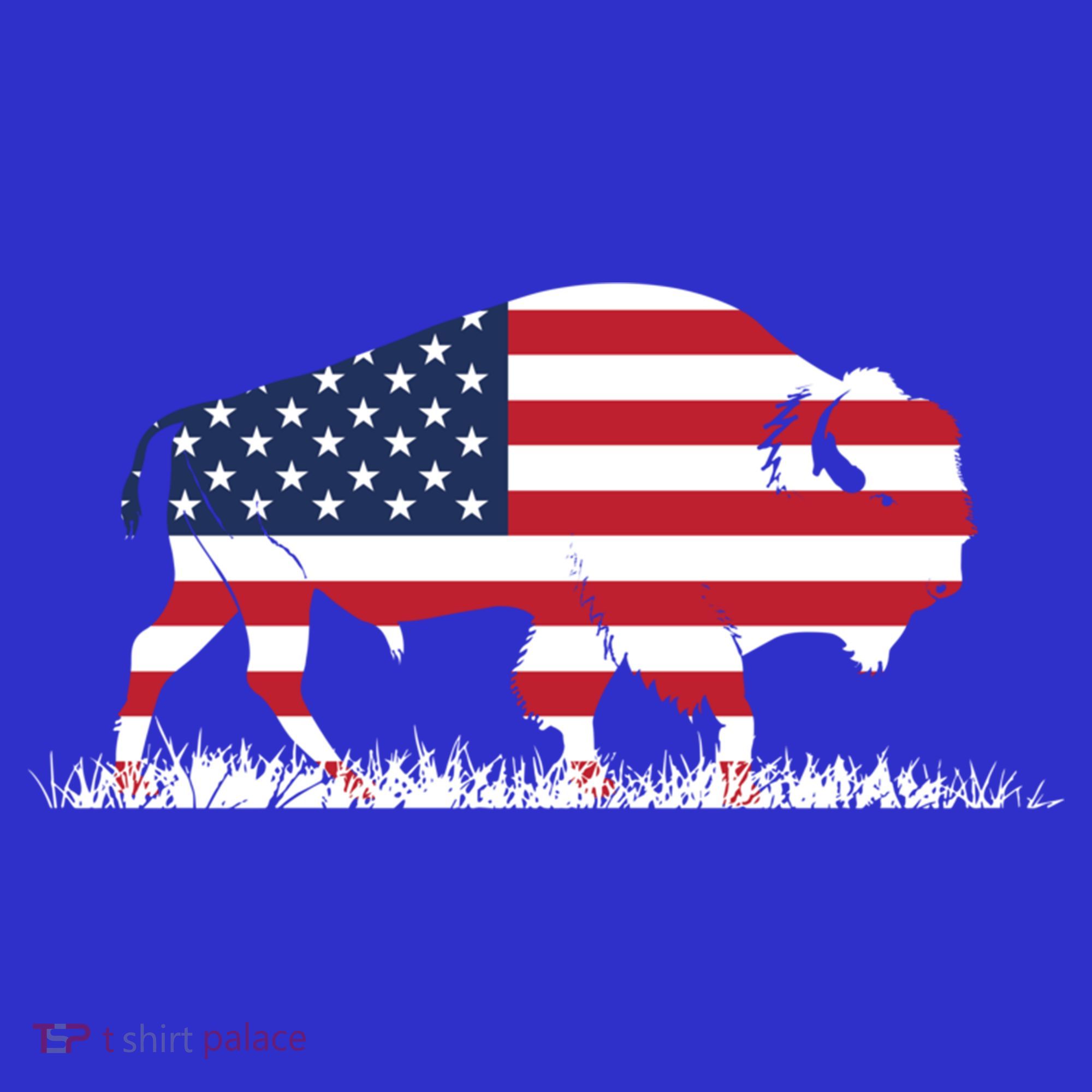 Usa Flag American Buffalo Cool Gift Baby Bodysuit