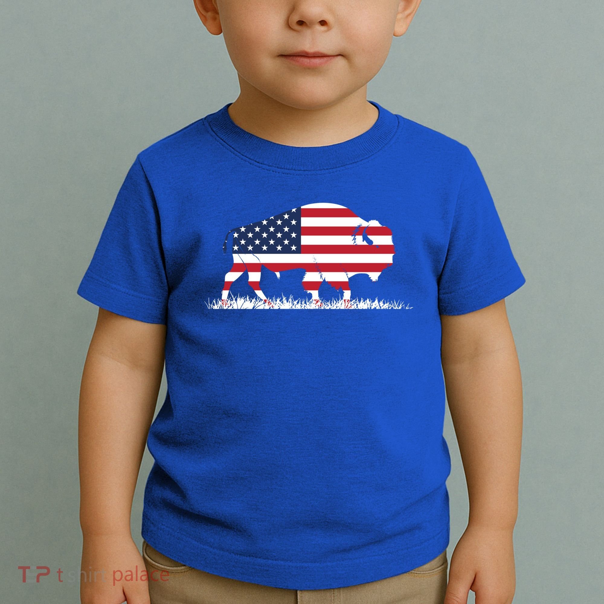 Usa Flag American Buffalo Cool Gift Toddler T-Shirt