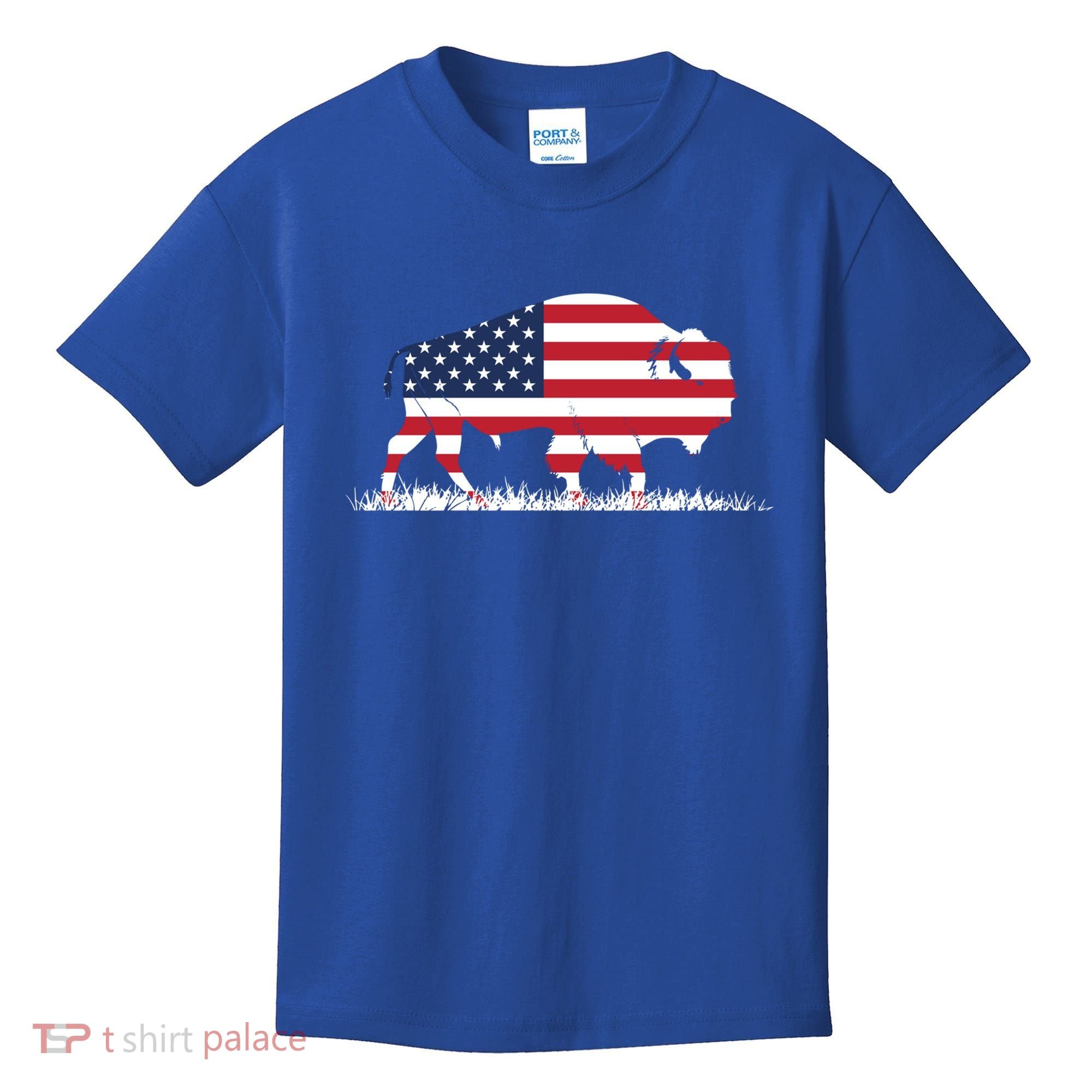Usa Flag American Buffalo Cool Gift Kids T-Shirt