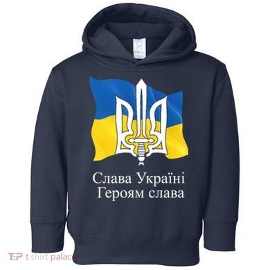 Ukraine Flag And Trident Ukrainian Toddler Hoodie