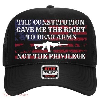 Usa Flag Constitution 2a Tee Right Not The Privilege Gift Hat