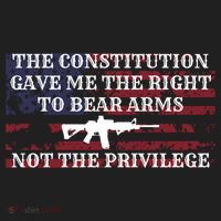 Usa Flag Constitution 2a Tee Right Not The Privilege Gift Hat thumb 2