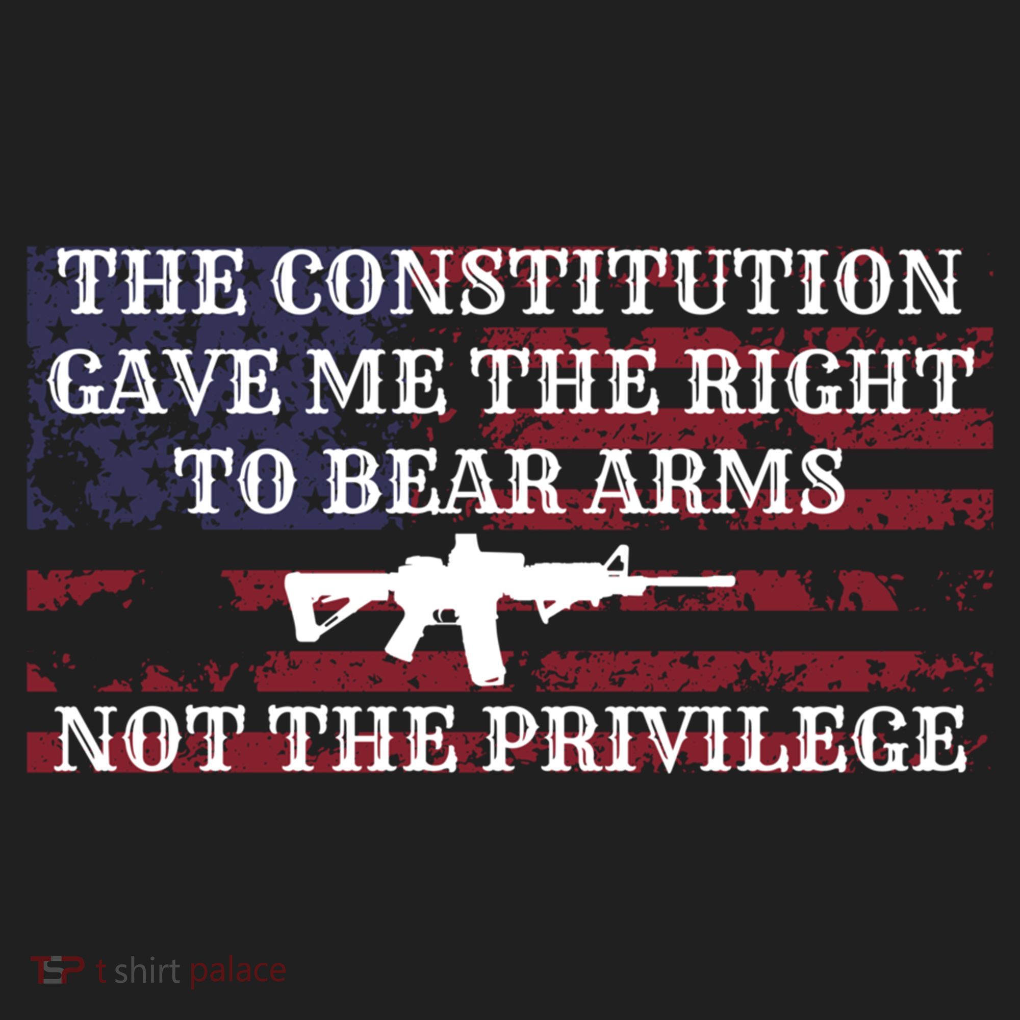 Usa Flag Constitution 2a Tee Right Not The Privilege Gift Hat