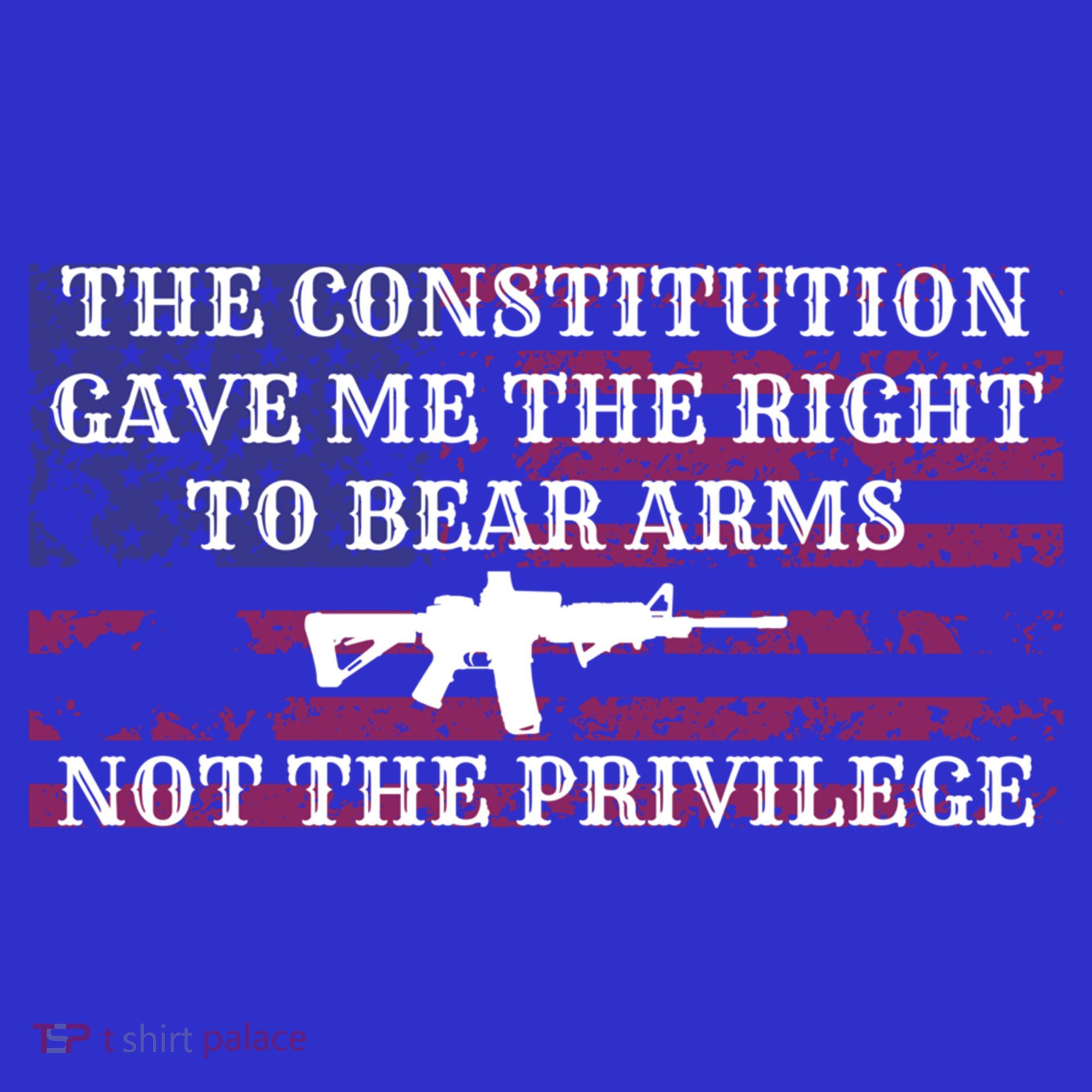 Usa Flag Constitution 2a Tee Right Not The Privilege Gift Baby Bodysuit