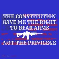 Usa Flag Constitution 2a Tee Right Not The Privilege Gift Visor thumb 3