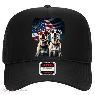 Usa Flag Dog Hat