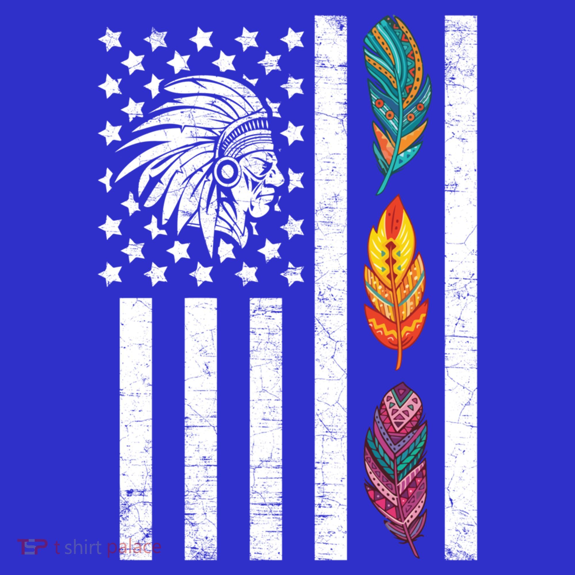 Usa Flag Feather Native American Heritage Day Indian Gift Meaningful Gift T-Shirt