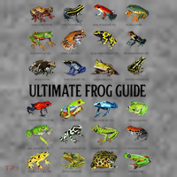 Ultimate Frog Guide Funny Frog Lovers Toddler Hoodie thumb 2