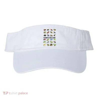 Visor
