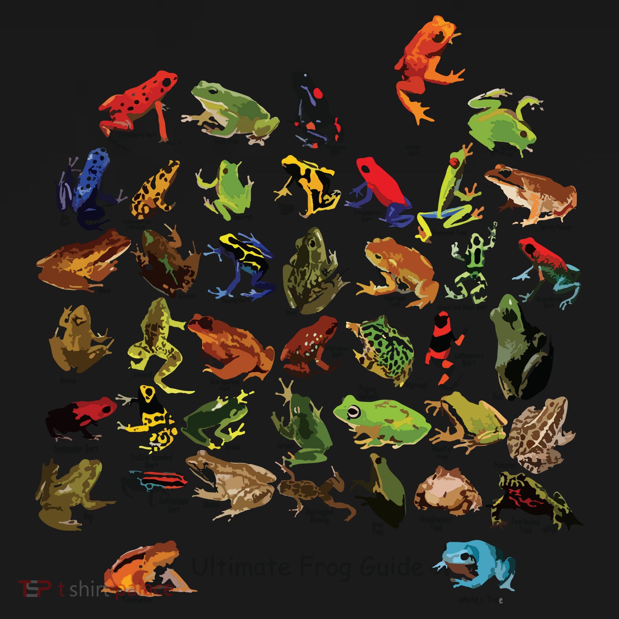 Ultimate Frog Guide Funny Frog Lover Frog Owner Frogs Backpack