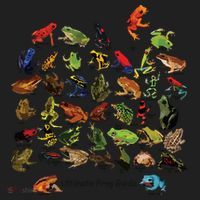 Ultimate Frog Guide Funny Frog Lover Frog Owner Frogs Tumbler thumb 3