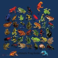 Ultimate Frog Guide Funny Frog Lover Frog Owner Frogs Women's Hoodie thumb 2