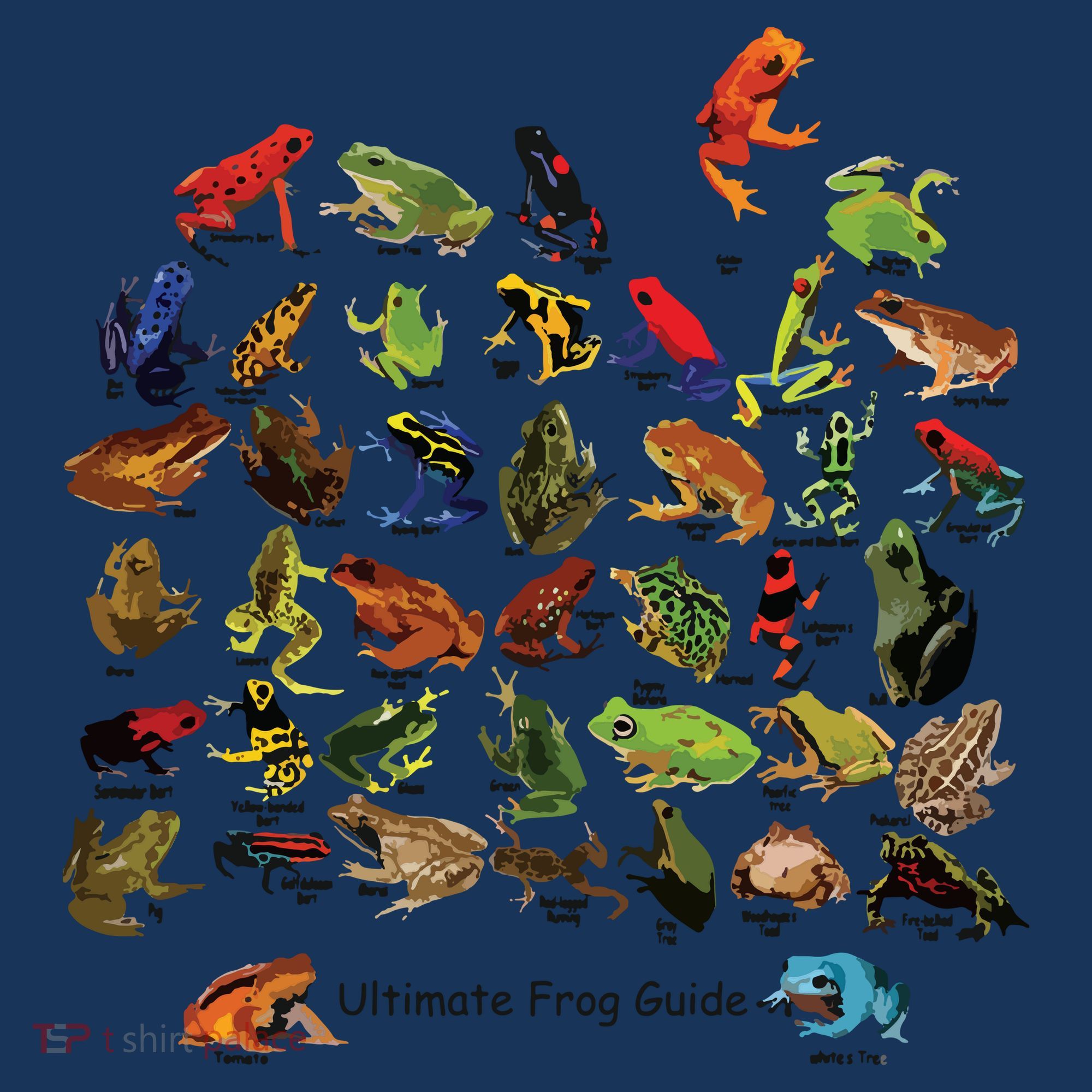 Ultimate Frog Guide Funny Frog Lover Frog Owner Frogs Women's Tank Top