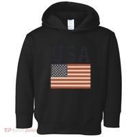 USA Flag Graphic Toddler Hoodie thumb 0