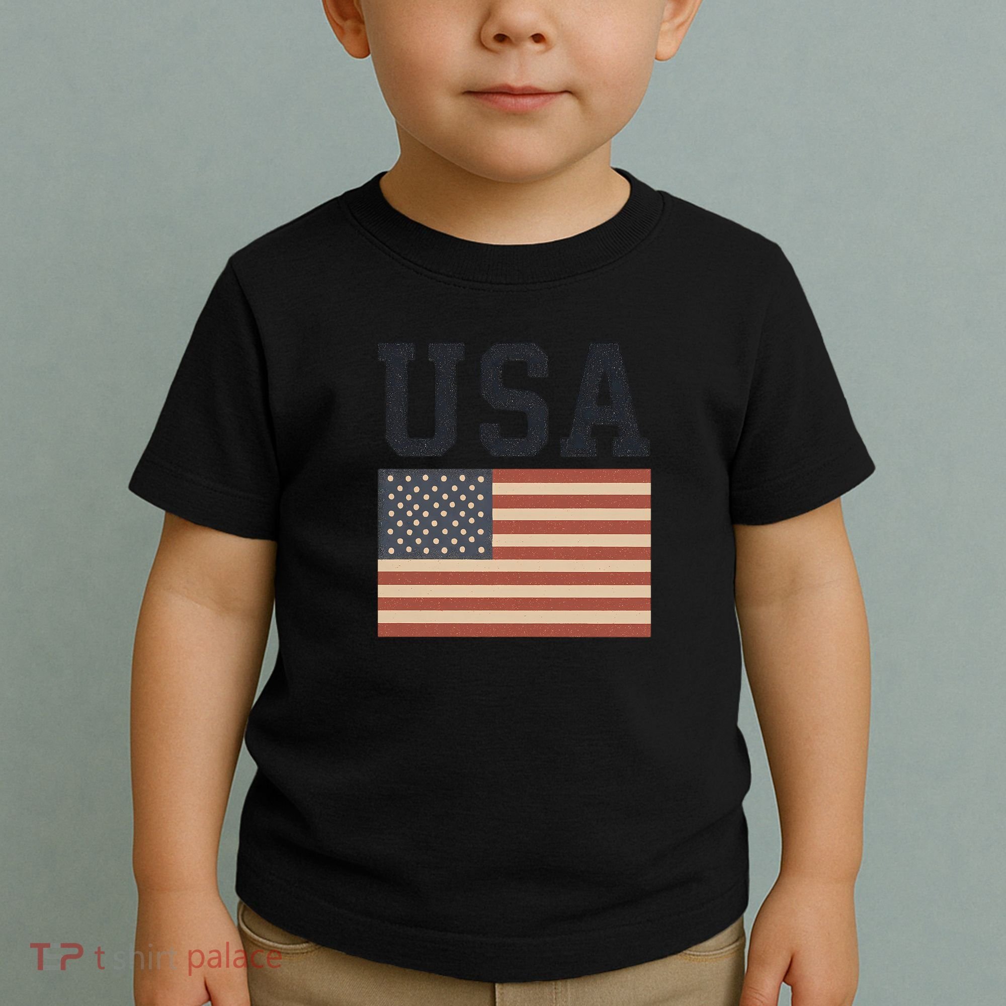 USA Flag Graphic Toddler T-Shirt
