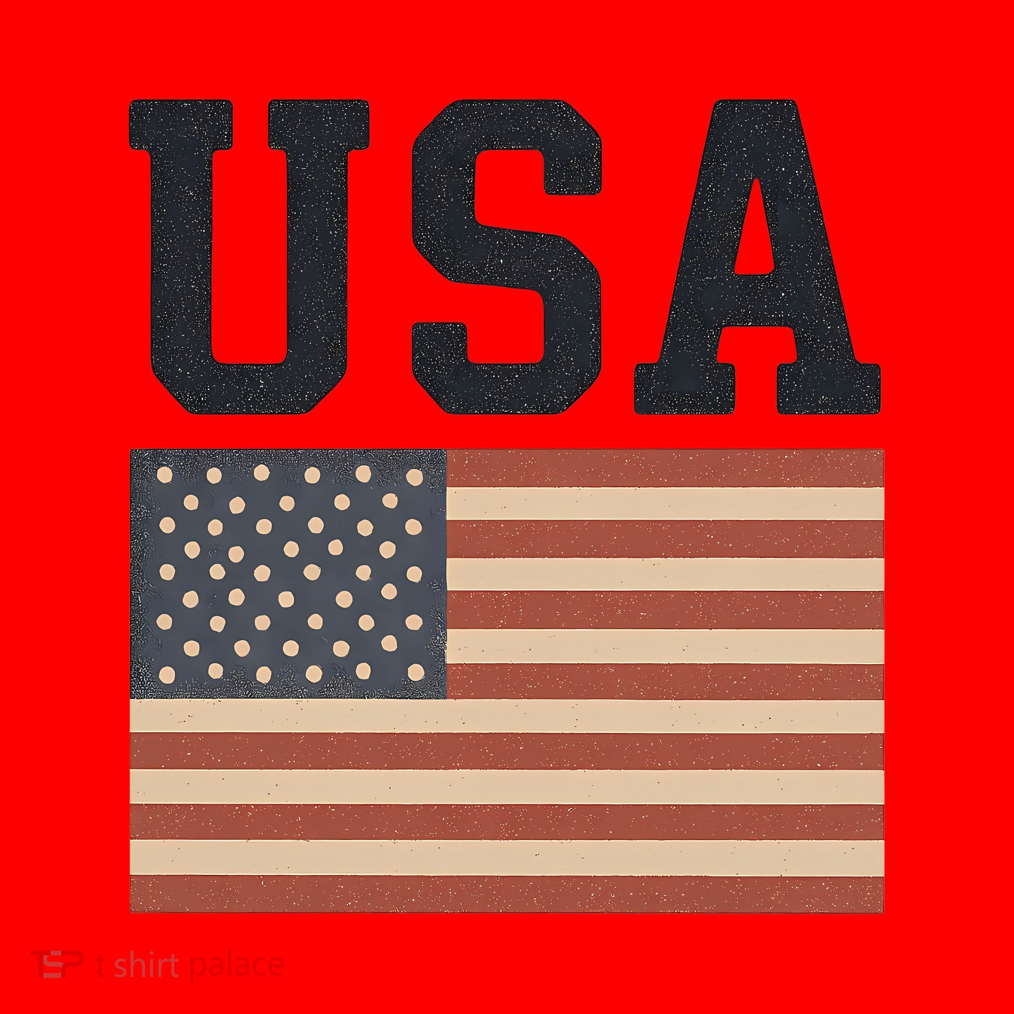 USA Flag Graphic Santa Hat