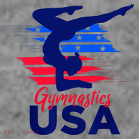 Usa Flag Gymnastics Usa Support Toddler Hoodie thumb 2