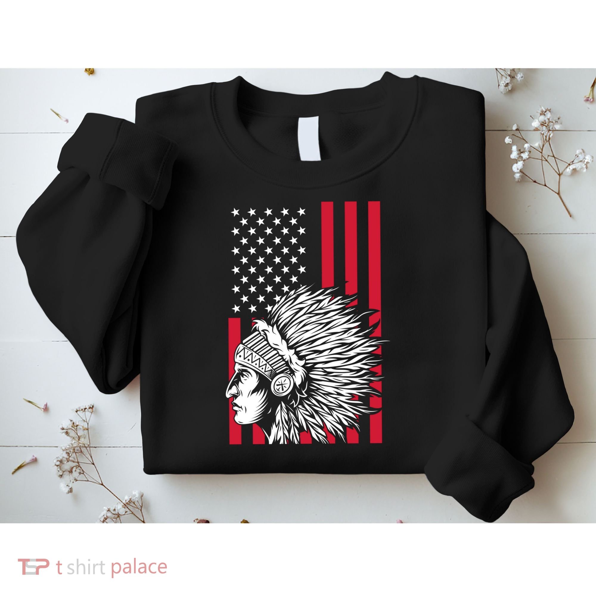 Us Flag Headdress Indians Pride Patriotic Native American Gift Sweatshirt