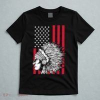 Us Flag Headdress Indians Pride Patriotic Native American Gift T-Shirt thumb 5