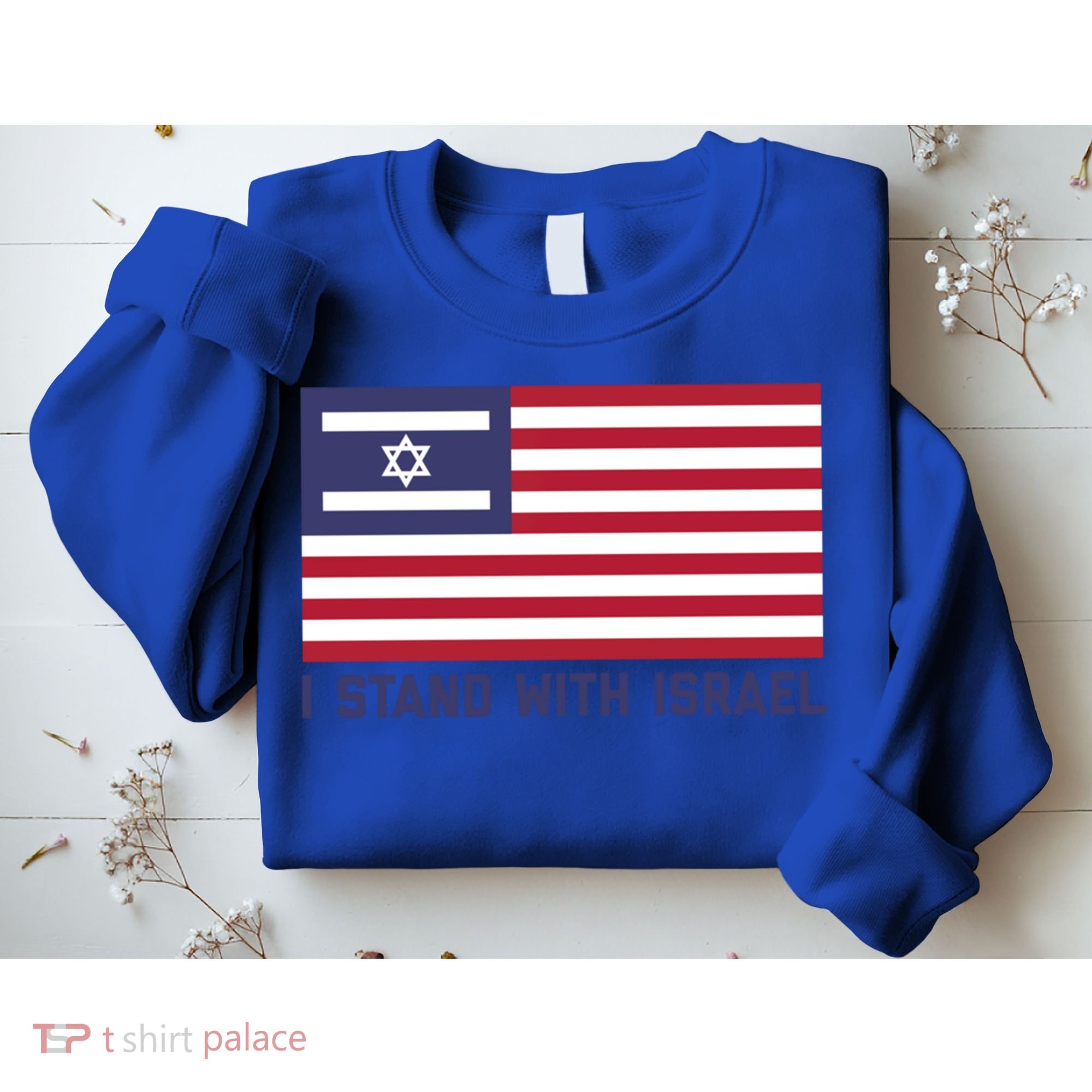 Us Flag Israeli Flag I Stand With Israel Gift Sweatshirt