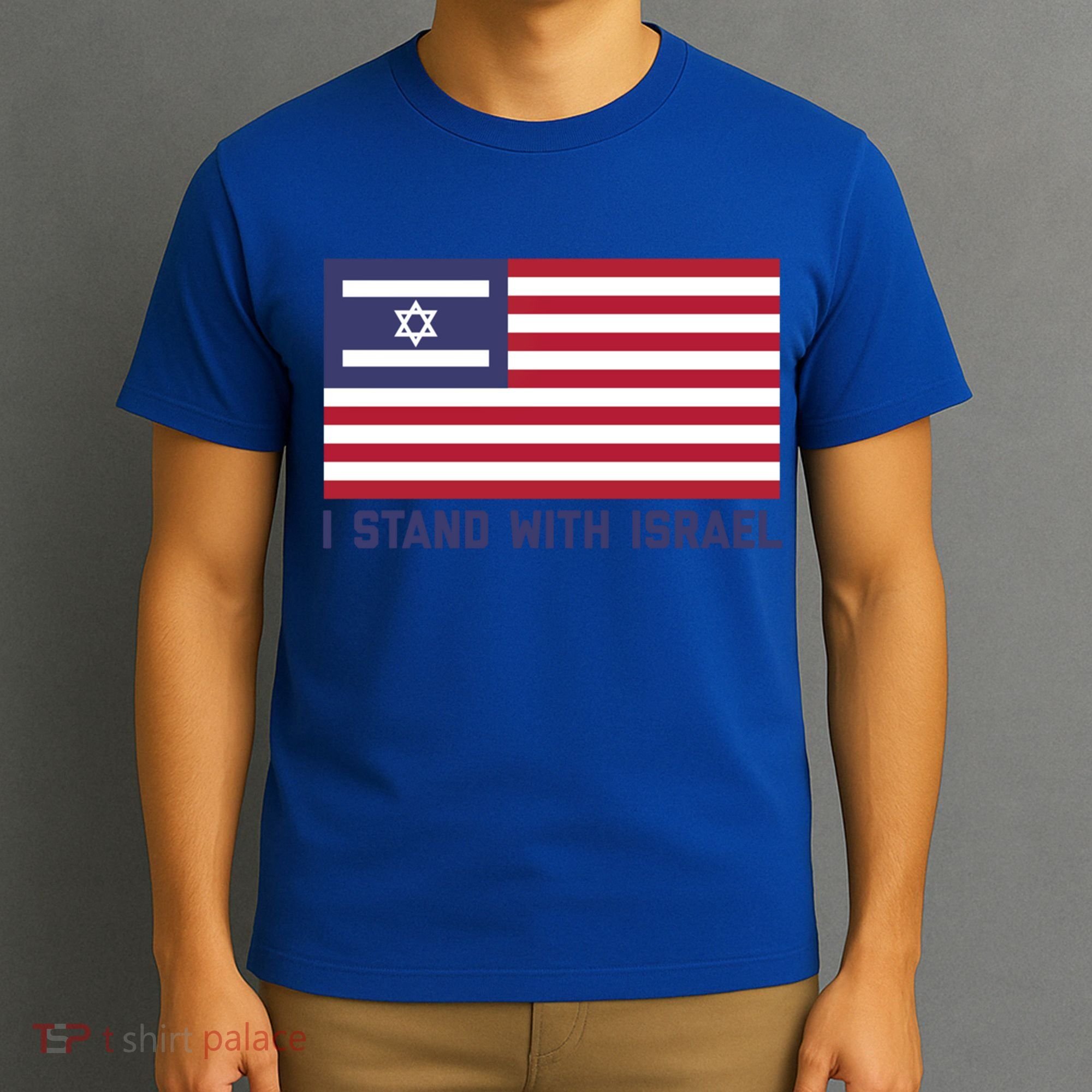 Us Flag Israeli Flag I Stand With Israel Gift T-Shirt