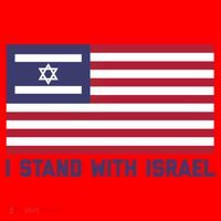 Us Flag Israeli Flag I Stand With Israel Gift Santa Hat thumb 1