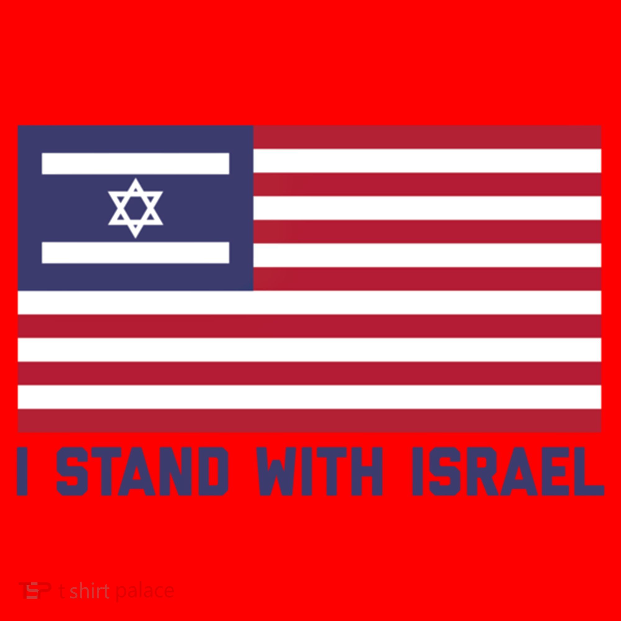 Us Flag Israeli Flag I Stand With Israel Gift Santa Hat